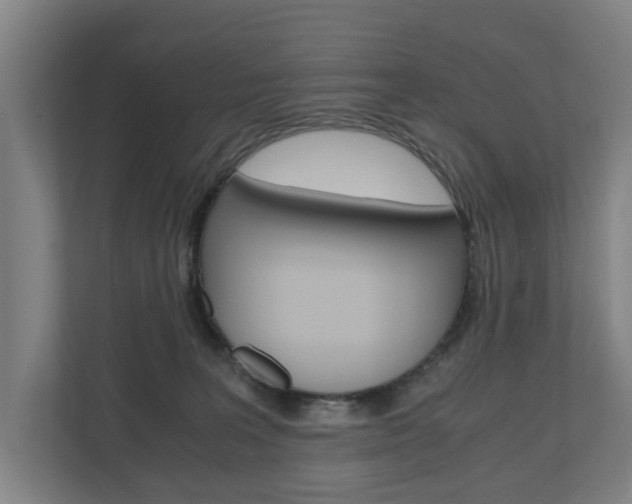 X0000110930227200906181202