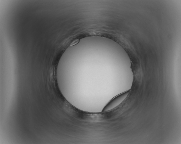 X0000110930233200906181202