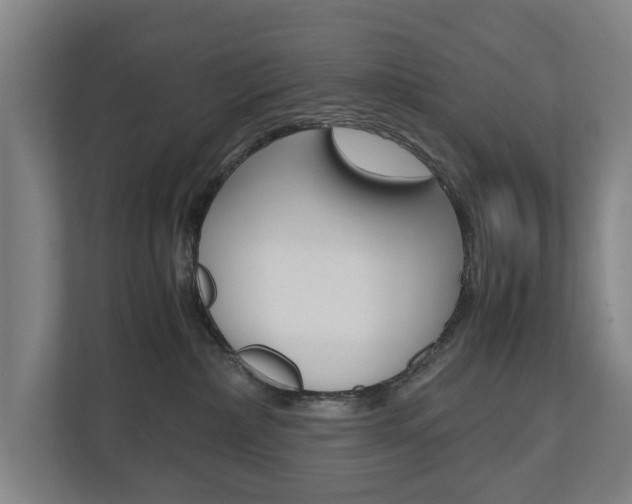 X0000110930236200906181202