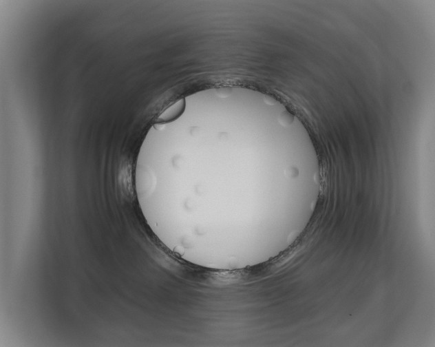X0000110930238200906181202