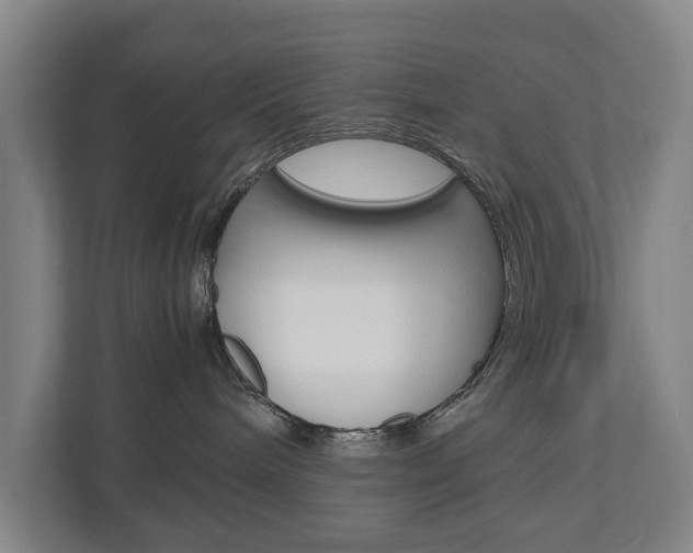 X0000110930240200906181202