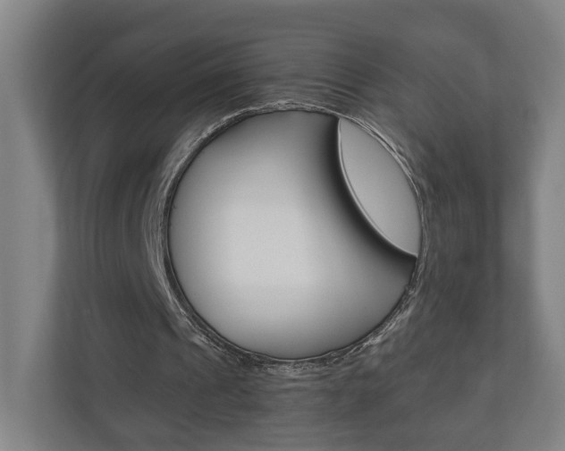 X0000110930241200906181201