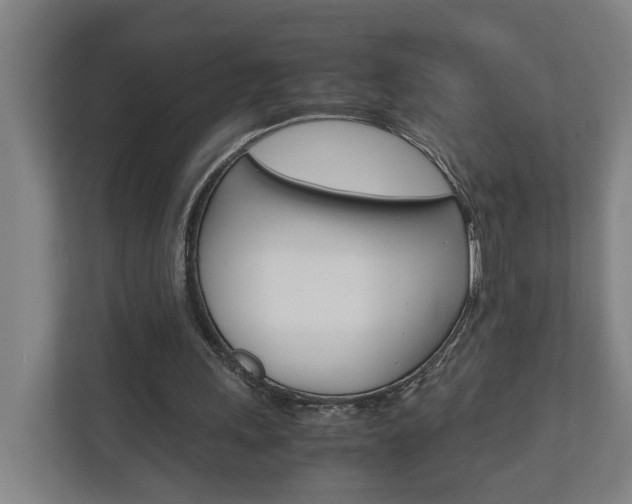 X0000110930243200906181201