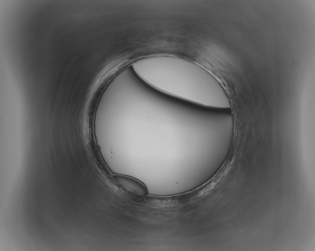 X0000110930245200906181201