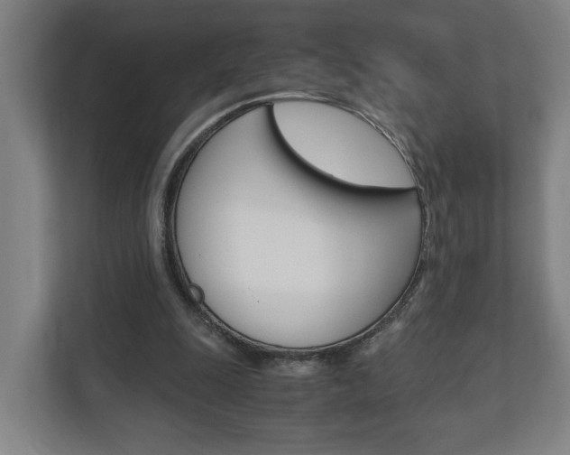 X0000110930247200906181201