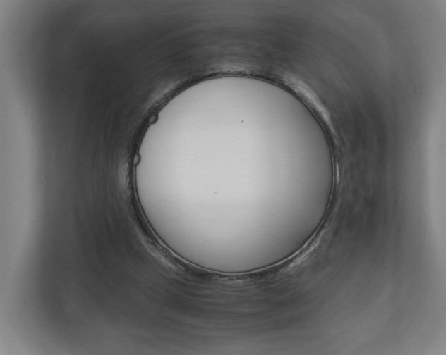 X0000110930249200906181201