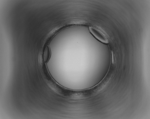 X0000110930252200906181201