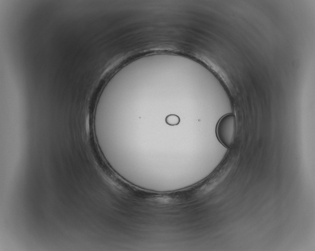 X0000110930253200906181201