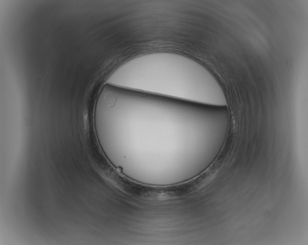 X0000110930254200906181201