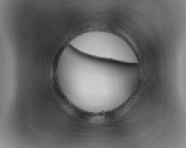 X0000110930257200906181202