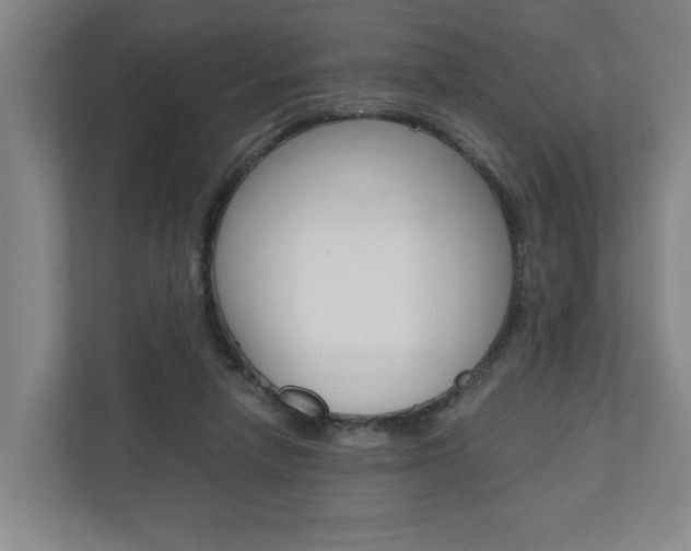 X0000110930258200906181202