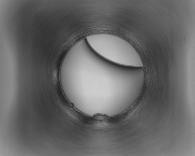 X0000110930262200906181202