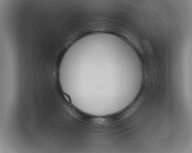 X0000110930265200906181202
