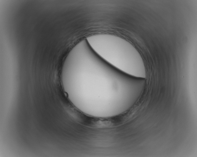 X0000110930270200906181202