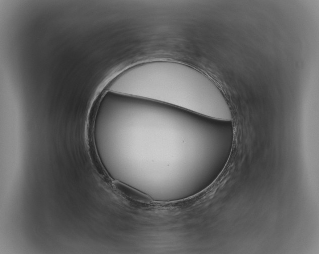 X0000110930292200906181201