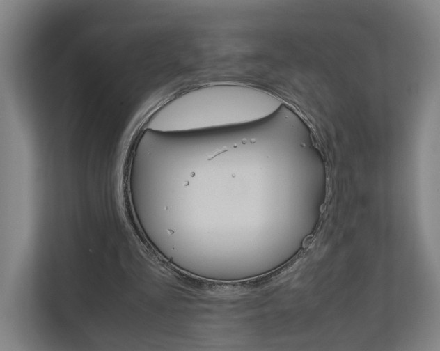 X0000110930293200906181201