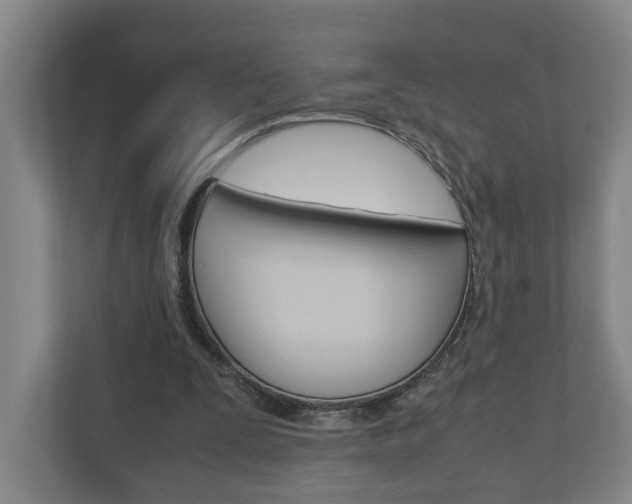 X0000110930295200906181201