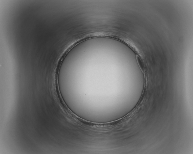 X0000110930297200906181201