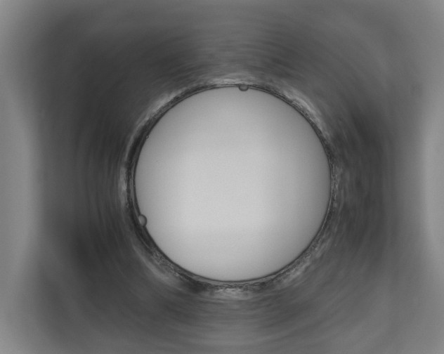 X0000110930298200906181201
