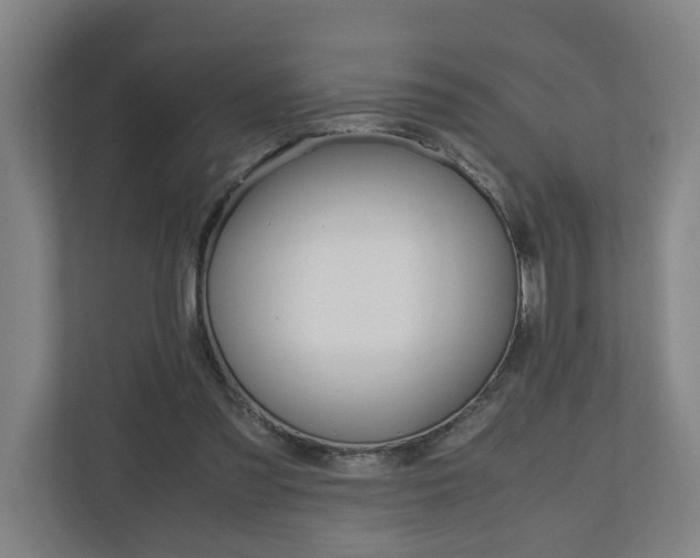 X0000110930301200906181201