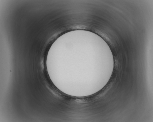 X0000110930302200906181201