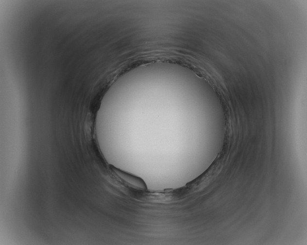X0000110930328200906181201
