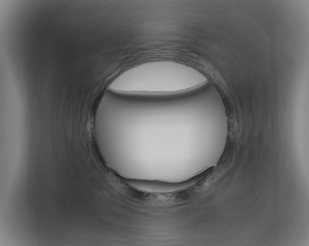X0000110930329200906181201