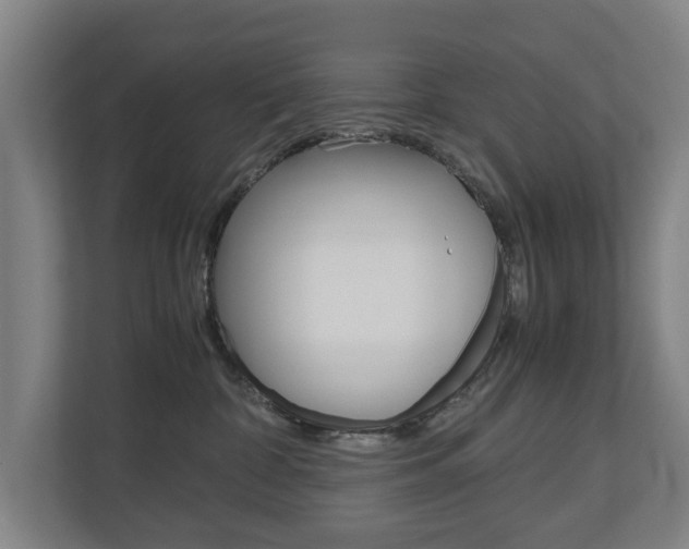 X0000110930332200906181201