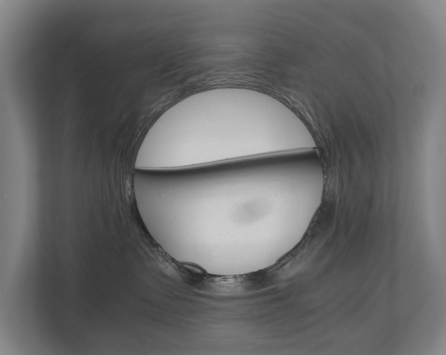 X0000110930335200906181201