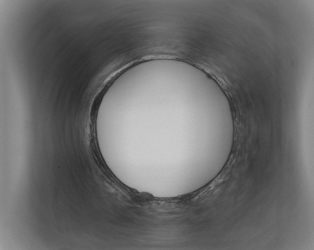 X0000110930338200906181200