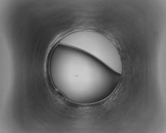 X0000110930340200906181200