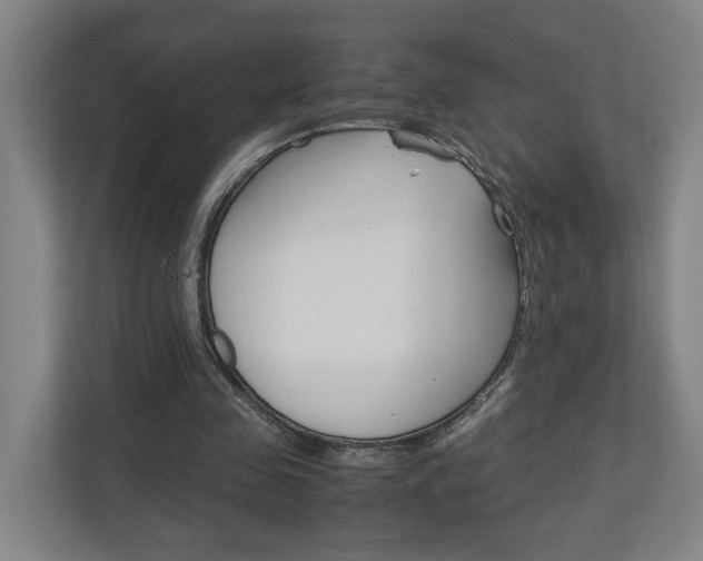 X0000110930341200906181200