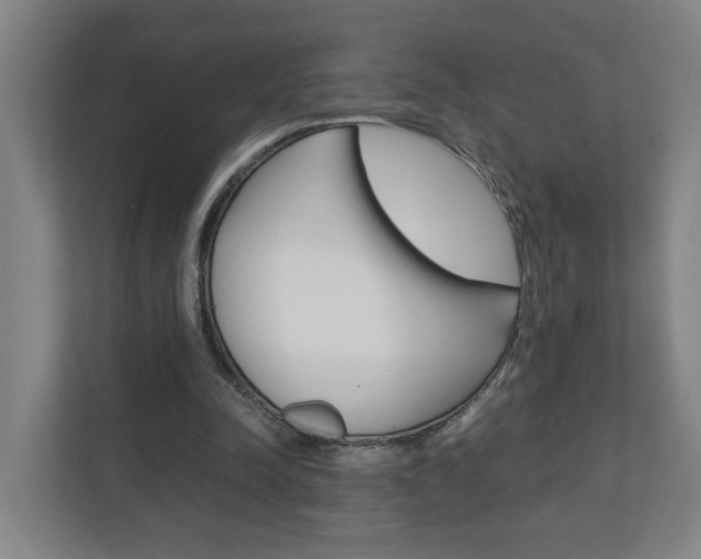X0000110930342200906181200