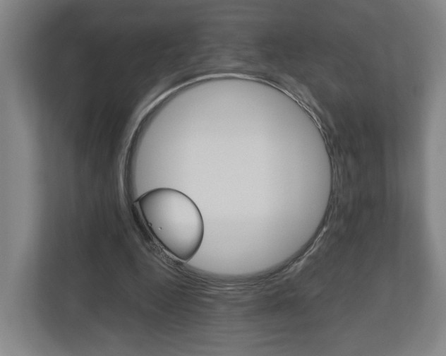 X0000110930344200906181200