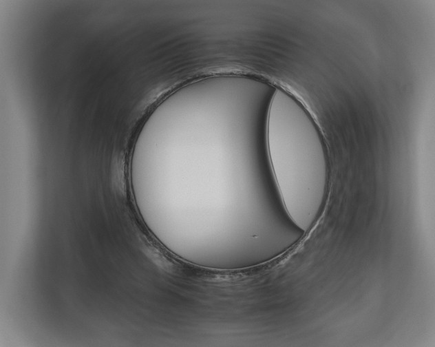 X0000110930345200906181200