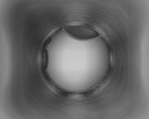 X0000110930348200906181200