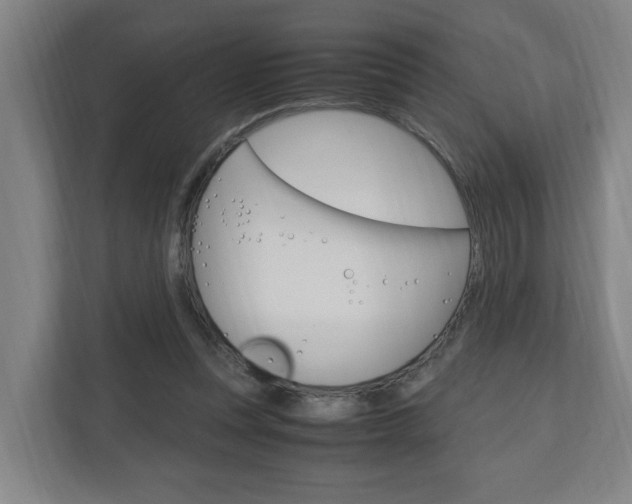 X0000110930351200906181200