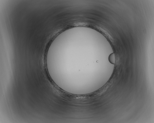 X0000110930353200906181200