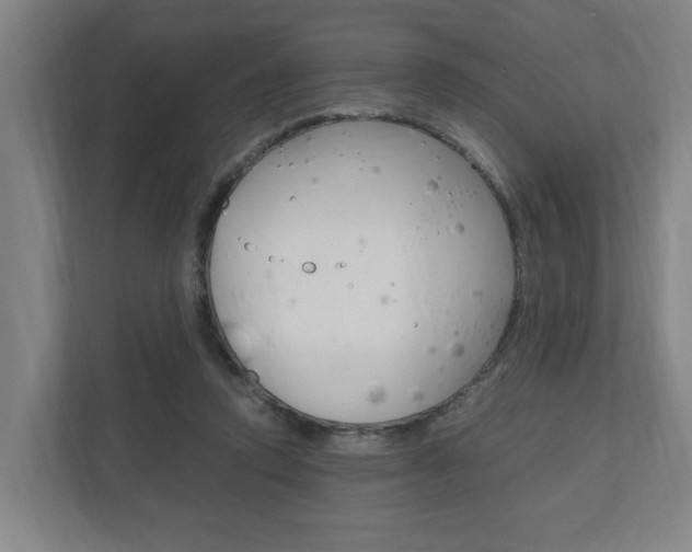 X0000110930354200906181200