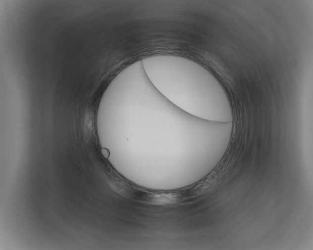 X0000110930363200906181200