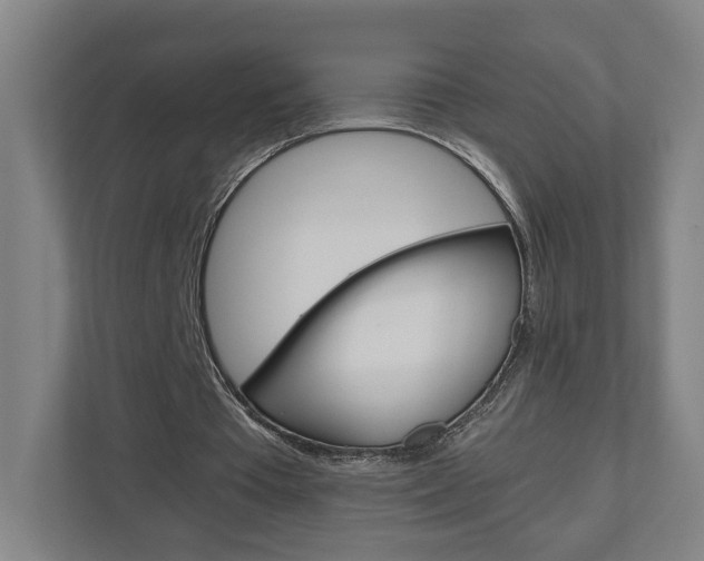 X0000110930385200906181200