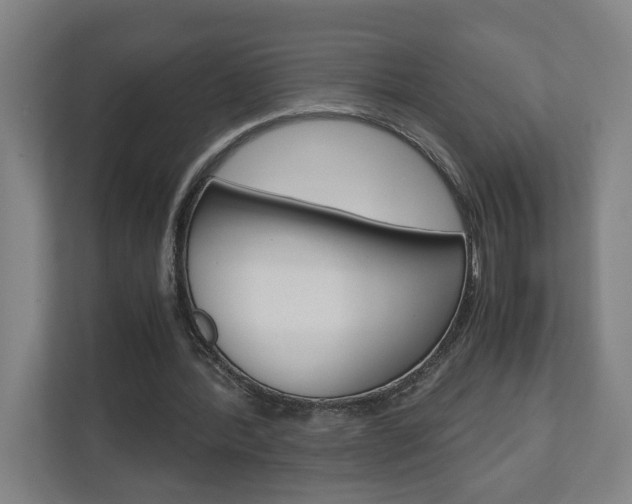 X0000110930388200906181200