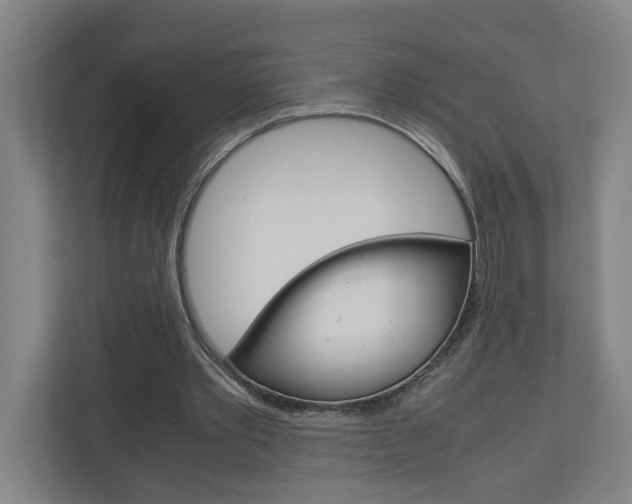 X0000110930389200906181200