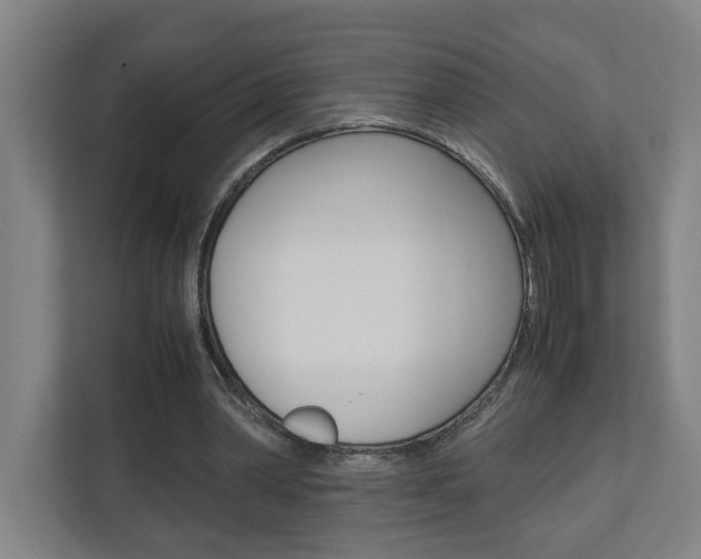 X0000110930390200906181200