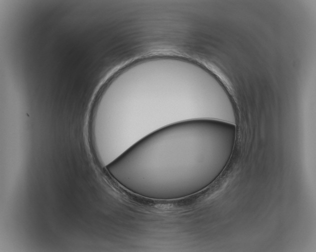 X0000110930391200906181200