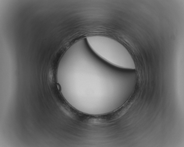 X0000110930408200906181200