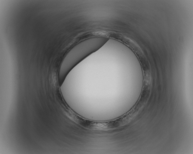X0000110930409200906181200