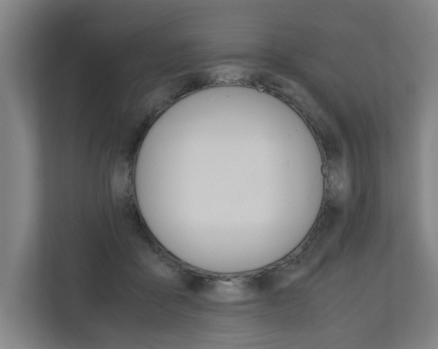 X0000110930411200906181200