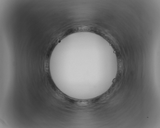 X0000110930419200906181159