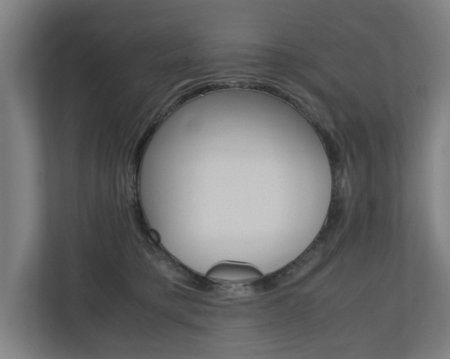 X0000110930421200906181159